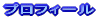 �v���t�B�[��